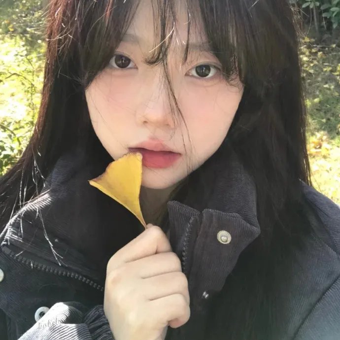 黄蜂女海报